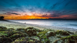 Washington, Seascape, Sunset Orange, Long exposure, Green Moss, Rocky coast, Beach, Horizon, 4K wallpaper